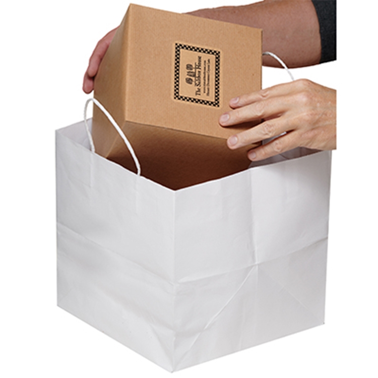 Show details for Take Out Bag 10x10x10